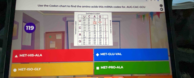 Use the Codon chart to find the amino acids this mRNA codes for. AUG-CAC-GCU
2nd base in codon
U C A G
U Phe 54 Tp
L -- L == do stoP
110
Les Pru Ary
119 5 C Les A
Pre Ar
Ge
Pr Ary

A H 54
Met The A
Lys A
C Val #t ^
C
Ans Ghy
Val Val Na Gh A
C
MET-HIS-ALA MET-GLU-VAL
MET-ISO-GLY MET-PRO-ALA