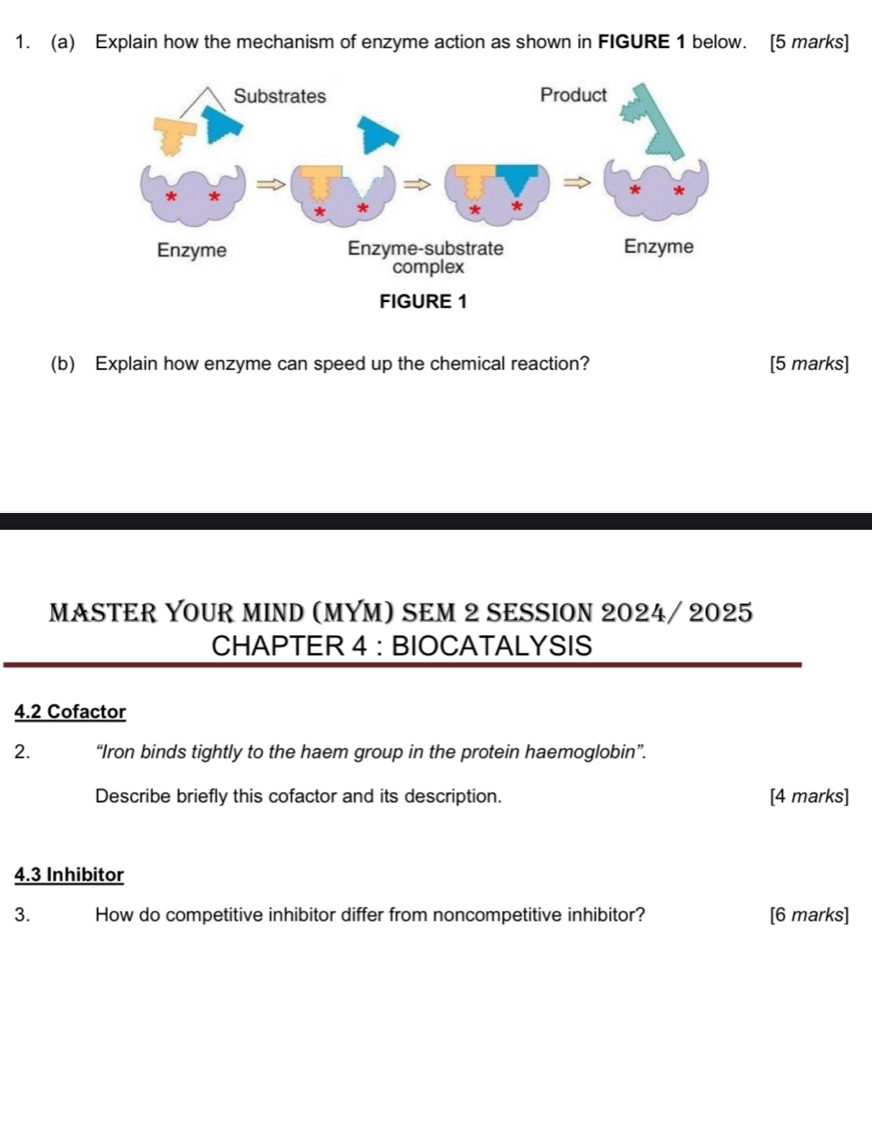 Explain how the mechanism of enzyme action as shown in FIGURE 1 below. [5 marks] 
(b) Explain how enzyme can speed up the chemical reaction? [5 marks] 
MASTER YOUR MIND (MYM) SEM 2 SESSION 2024/ 2025 
CHAPTER 4 : BIOCATALYSIS 
4.2 Cofactor 
2. “Iron binds tightly to the haem group in the protein haemoglobin”. 
Describe briefly this cofactor and its description. [4 marks] 
4.3 Inhibitor 
3. How do competitive inhibitor differ from noncompetitive inhibitor? [6 marks]