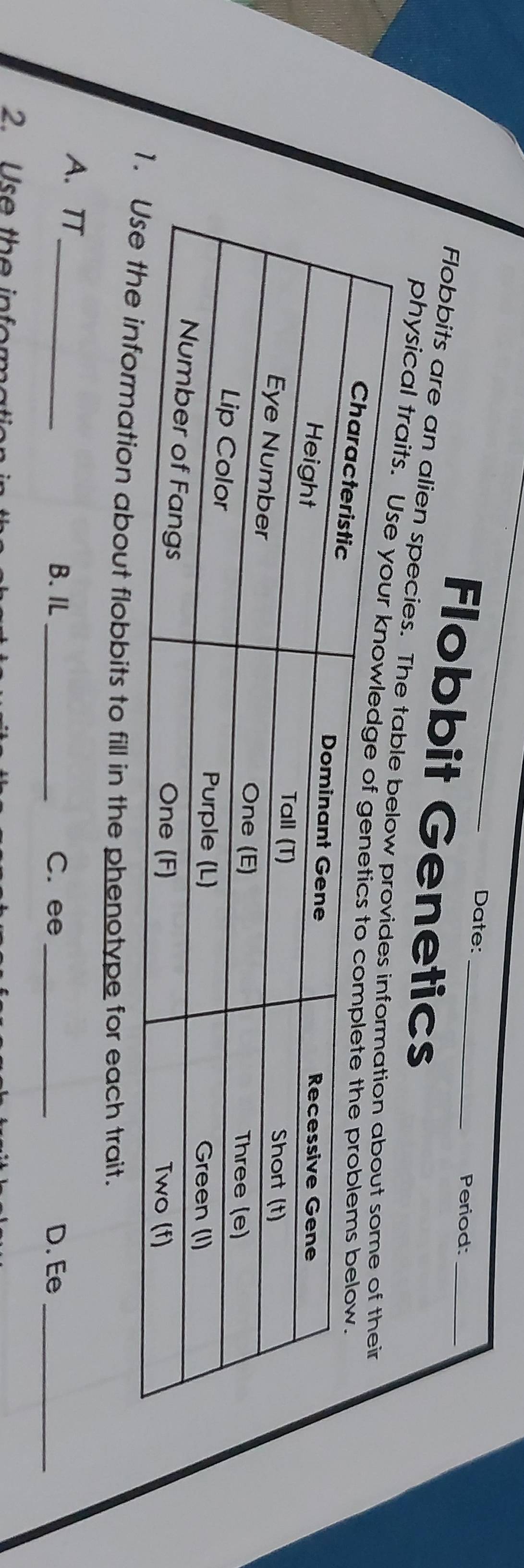 Date: 
Period:_ 
Flobbit Genetics 
Flobbits are an alien species. The tab 
physical traits 
n about flobbits to fill in the phenotype for each trait. 
A. TT_ B. IL_ 
C. ee _D. Ee_ 
2. Use the infor