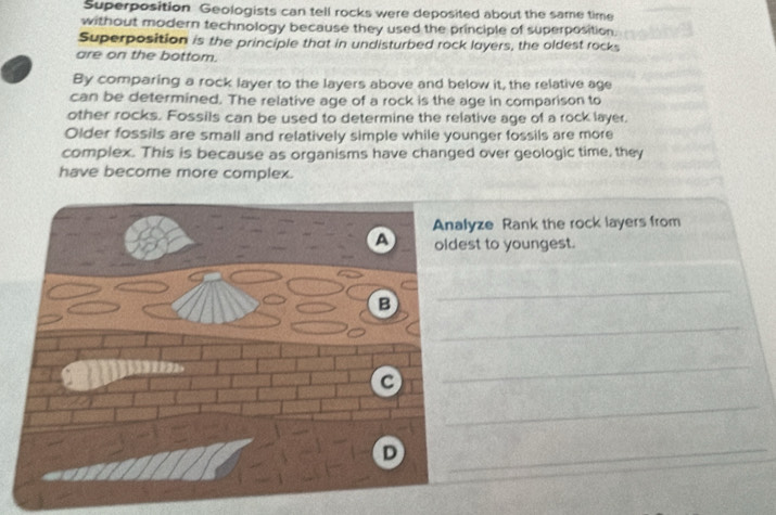 Superposition Geologists can tell rocks were deposited about the same time 
without modern technology because they used the principle of superposition 
Superposition is the principle that in undisturbed rock layers, the oldest rocks 
are on the bottom. 
By comparing a rock layer to the layers above and below it, the relative age 
can be determined. The relative age of a rock is the age in comparison to 
other rocks. Fossils can be used to determine the relative age of a rock layer. 
Older fossils are small and relatively simple while younger fossils are more 
complex. This is because as organisms have changed over geologic time, they 
have become more complex. 
ze Rank the rock layers from 
to youngest. 
_ 
_ 
_ 
_ 
_