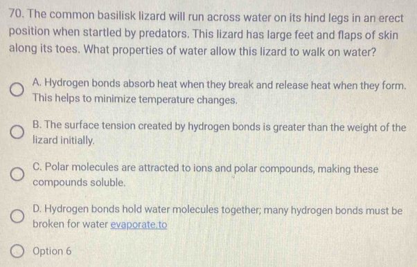 The common basilisk lizard will run across water on its hind legs in an erect
position when startled by predators. This lizard has large feet and flaps of skin
along its toes. What properties of water allow this lizard to walk on water?
A. Hydrogen bonds absorb heat when they break and release heat when they form.
This helps to minimize temperature changes.
B. The surface tension created by hydrogen bonds is greater than the weight of the
lizard initially.
C. Polar molecules are attracted to ions and polar compounds, making these
compounds soluble.
D. Hydrogen bonds hold water molecules together; many hydrogen bonds must be
broken for water evaporate.to
Option 6