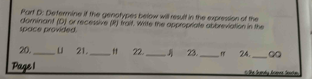 Determine if the genotypes below will result in the expression of the 
dominant (D) or recessive (R) trait. Write the appropriate abbreviation in the 
space provided.
20,_ 21,_ " 22,_ Jj 23._ 24,_ 
Page1 She Granday Reianes Candrou