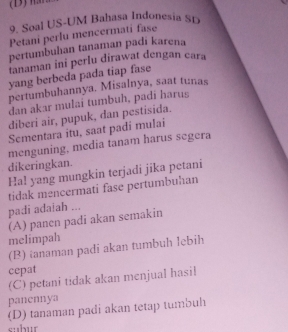 Soal US-UM Bahasa Indonesia Sp
Petani perlu mencermati fase
pertumbuhan tanaman padi karena
tanaman ini perlu dirawat dengan cara
yang berbeda pada tiap fase
pertumbuhannya. Misalnya, saat tunas
dan akar mulai tumbuh, padi harus
diberi air, pupuk, dan pestisida.
Sementara itu, saat padi mulai
menguning, media tanam harus segera
dikeringkan.
Hal yang mungkin terjadi jika petani
tidak mencermati fase pertumbuhan
padi adaiah ...
(A) panen padi akan semakin
melimpah
(B) ianaman padi akan tumbuh lebih
cepat
(C) petani tidak akan menjual hasil
panennya
(D) tanaman padi akan tetap tumbuh
cbut