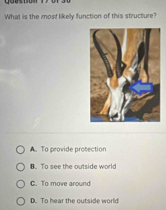 of
What is the most likely function of this structure?
A. To provide protection
B. To see the outside world
C. To move around
D. To hear the outside world