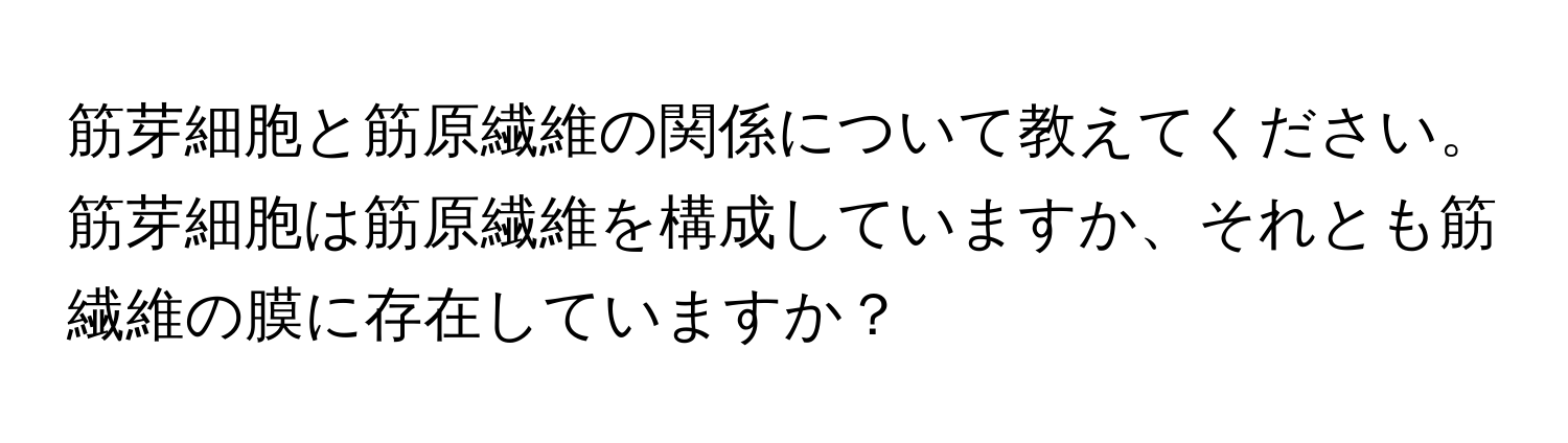 筋芽細胞と筋原繊維の関係について教えてください。筋芽細胞は筋原繊維を構成していますか、それとも筋繊維の膜に存在していますか？