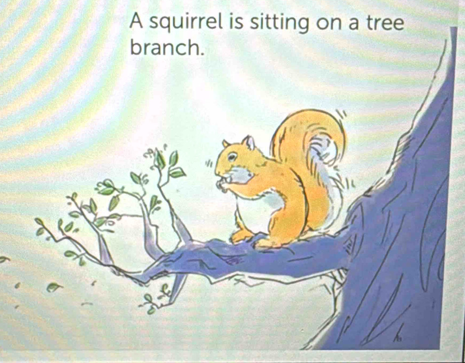 A squirrel is sitting on a tree 
branch.