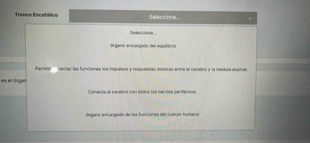 Tronco Encefálico Seleccione...
Seleccione...
órgano encargado del equilibrio
Permite nectar las funciones los impulsos y respuestas motoras entre el cerebro y la medula espinal.
es el órgan
Conecta al cerebro con todos los nervios periféricos.
órgano encargado de las funciones del cuerpo humano