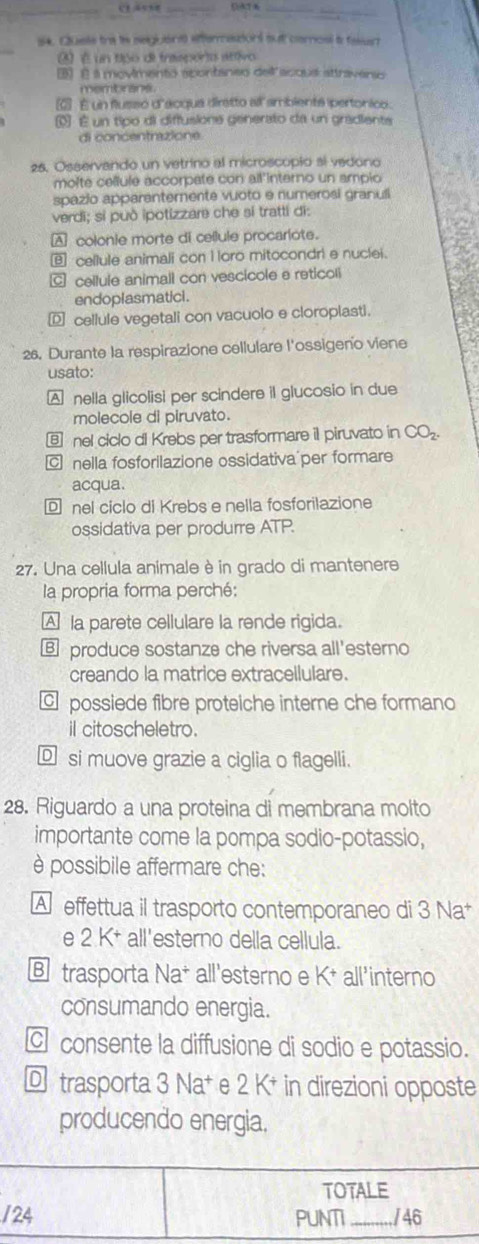 S4. Quels the is segiónt steraaions out comosl a fakur
3  un tipo de traspórto attivo
) É a movimento acontanso dell acqua attraverso
membrans.
0 É un flussó d'acqua diratto alambients ipertonico.
0 É un tipo di diffusione generato da un gradiente
di concentrazione
25. Osservando un vetrino al microscópio sl vedono
moîte celule accorpate con all'interno un ampio
spazio apparentemente vuoto e numerosi granull
verdi; si può ipotizzare che sí tratti di:
A colonie morte di cellule procariote.
cellule animali con I loro mitocondri e nuclei.
¤ cellule animall con vescicole e reticoli
endoplasmaticl .
⑥ cellule vegetali con vacuolo e cloroplasti.
26. Durante la respirazione cellulare l'ossigeno viene
usato:
A nella glicolisi per scindere il glucosio in due
molecole di piruvato.
⑥ nel ciclo di Krebs per trasformare il piruvato in CO_2.
nella fosforilazione ossidativa per formare
acqua.
D  nel ciclo di Krebs e nella fosforilazione
ossidativa per produrre ATP.
27. Una cellula animale è in grado di mantenere
la propria forma perché:
A la parete cellulare la rende rigida.
€ produce sostanze che riversa all'esterno
creando la matrice extracellulare.
possiede fibre proteiche interne che formano
il citoscheletro.
D si muove grazie a ciglia o flagelli.
28. Riguardo a una proteina di membrana molto
importante come la pompa sodio-potassio,
è possibile affermare che:
A effettua il trasporto contemporaneo di 3 Na*
e 2 K+ all'esterno della cellula.
B trasporta Na* all'esterno e K^+ all'interno
consumando energia.
C consente la diffusione di sodio e potassio.
Dtrasporta 3 Na+ e 2 K+ in direzioni opposte
producendo energia.