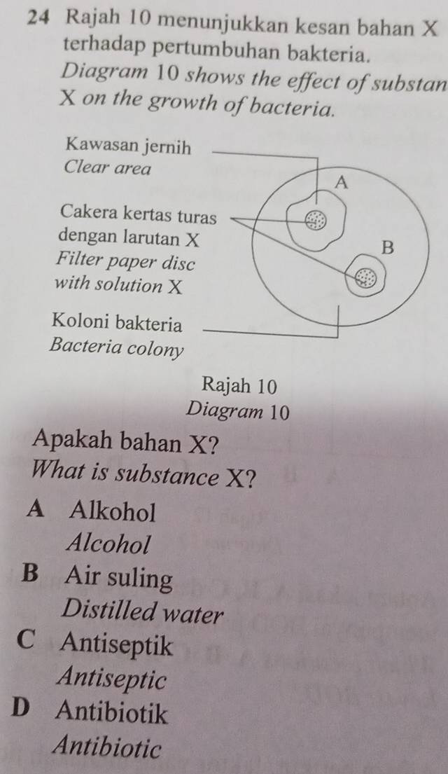 Rajah 10 menunjukkan kesan bahan X
terhadap pertumbuhan bakteria.
Diagram 10 shows the effect of substan
X on the growth of bacteria.
Kawasan jernih
Clear area
A
Cakera kertas turas
dengan larutan X B
Filter paper disc
with solution X
Koloni bakteria
Bacteria colony
Rajah 10
Diagram 10
Apakah bahan X?
What is substance X?
A Alkohol
Alcohol
B Air suling
Distilled water
C Antiseptik
Antiseptic
D Antibiotik
Antibiotic