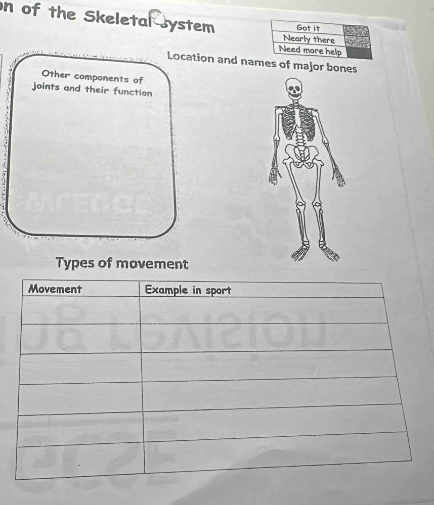 of the Skeletal system 
Location and naes of major bones 
Other components of 
joints and their function 
Types of movement