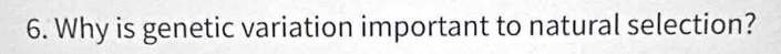Why is genetic variation important to natural selection?