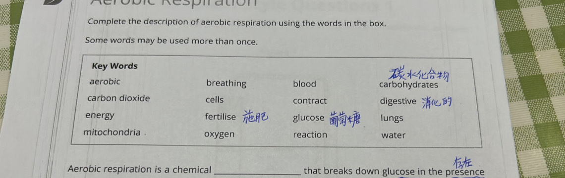 Réropic Respiratión 
Complete the description of aerobic respiration using the words in the box. 
Some words may be used more than once. 
Key Words 
aerobic breathing blood carbohydrates 
carbon dioxide cells contract digestive 
energy fertilise glucose lungs 
mitochondria . oxygen reaction water 
Aerobic respiration is a chemical _that breaks down glucose in the presence