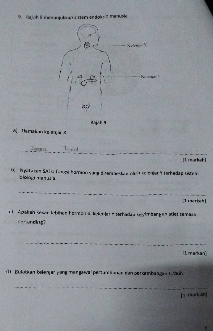 Rajah 9 menunjukkan sistem endokrin manusia 
Rajah 9 
a) Namakan kelenjar X
_ 
_ 
[1 markah] 
b) Nyatakan SATU fungsi hormon yang dirembeskan oleh kelenjar Y terhadap sistem 
biologi manusia. 
_ 
[1 markah] 
c) Apakah kesan lebihan hormon di kelenjar Y terhadap ket imbang an atlet semasa 
ertanding? 
_ 
_ 
[1 markah] 
d) Bulatkan kelenjar yang mengawai pertumbuhan dan perkembangan tubuh 
_ 
_ 
[1 mark ah] 
9