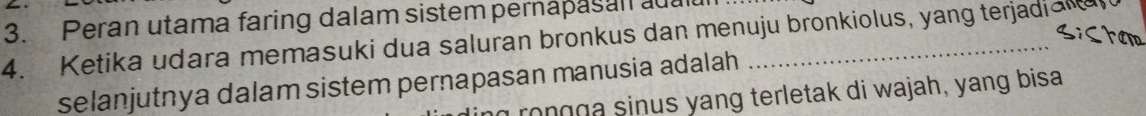 Peran utama faring dalam sistem pernapasanl adal 
4. Ketika udara memasuki dua saluran bronkus dan menuju bronkiolus, yang terjadian 
selanjutnya dalam sistem pernapasan manusia adalah 
g rongga sinus yang terletak di wajah, yang bisa