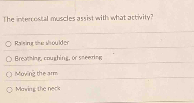 The intercostal muscles assist with what activity?
Raising the shoulder
Breathing, coughing, or sneezing
Moving the arm
Moving the neck