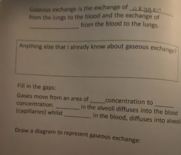 Gaseous exchange is the exchange of 
from the lungs to the blood and the exchange of 
_ 
_from the blood to the lungs. 
Anything else that I already know about gaseous exchange? 
Fill in the gaps: 
Gases move from an area of _concentration to 
concentration. _in the alveoli diffuses into the blood 
(capillaries) whilst _in the blood, diffuses into alveol 
Draw a diagram to represent gaseous exchange: