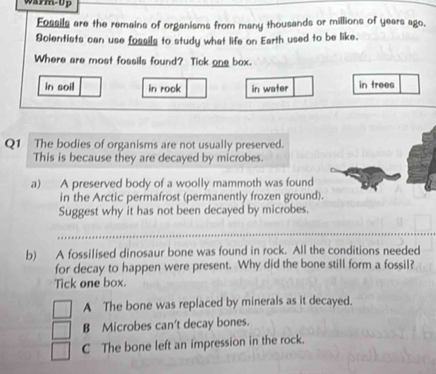 warm-up
Fossils are the remains of organisms from many thousands or millions of years ago.
Scientists can use fossils to study what life on Earth used to be like.
Where are most fossils found? Tick ons box.
in soil in rock in water in trees
Q1 The bodies of organisms are not usually preserved.
This is because they are decayed by microbes.
a) A preserved body of a woolly mammoth was found
in the Arctic permafrost (permanently frozen ground).
Suggest why it has not been decayed by microbes.
b) A fossilised dinosaur bone was found in rock. All the conditions needed
for decay to happen were present. Why did the bone still form a fossil?
Tick one box.
A The bone was replaced by minerals as it decayed.
B Microbes can't decay bones.
C The bone left an impression in the rock.