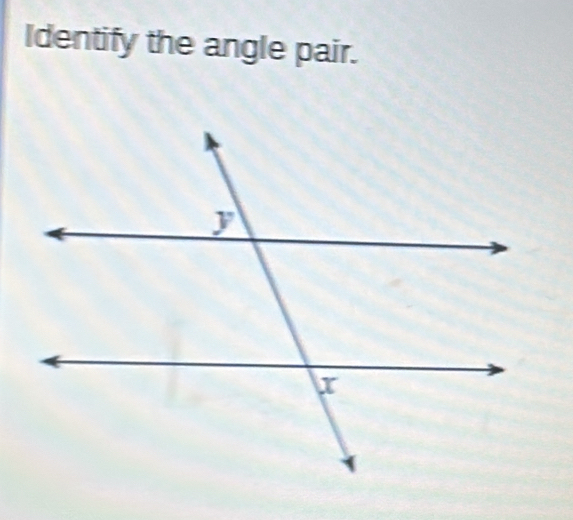 Identify the angle pair.