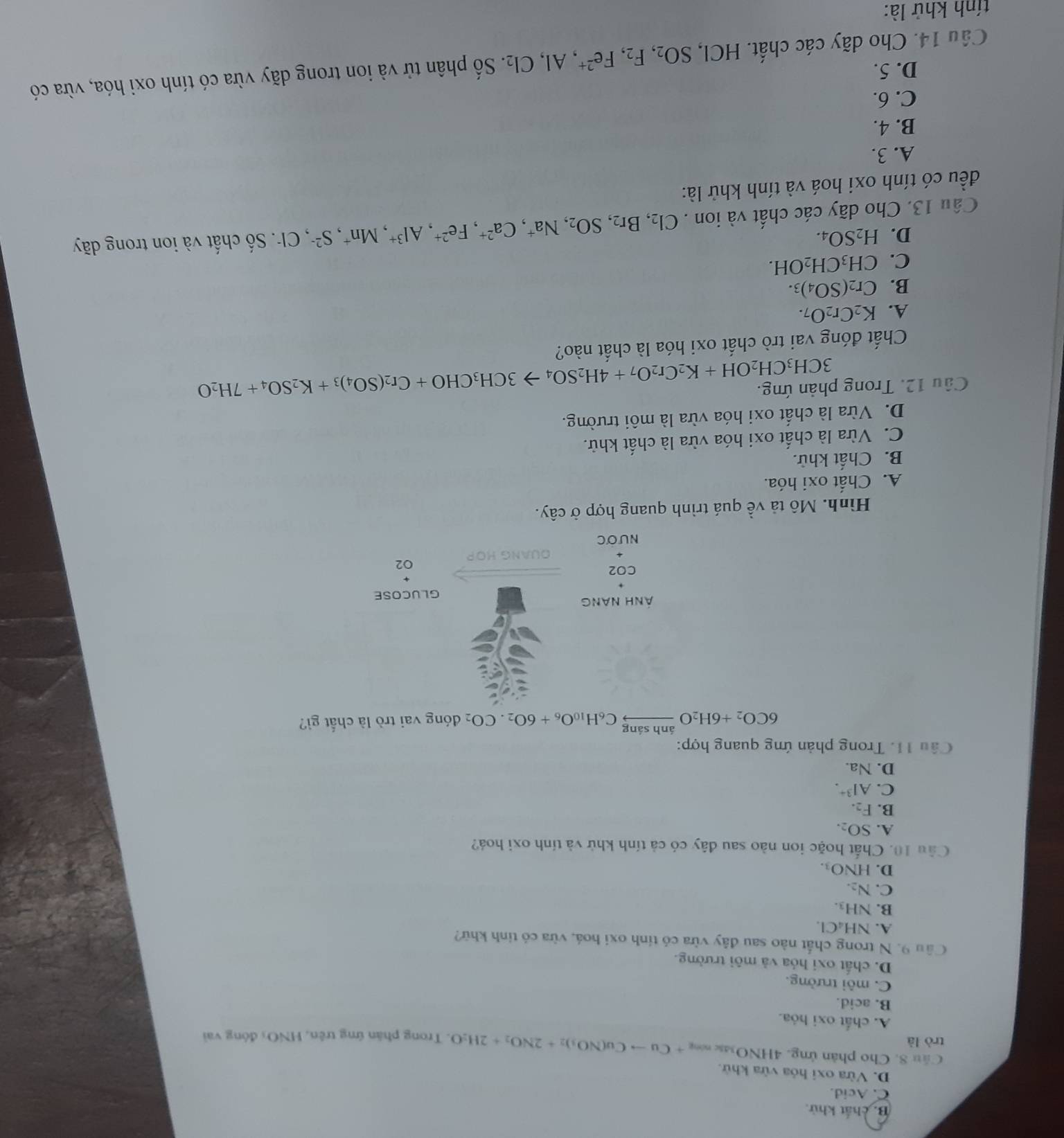 B. chất khử.
C. Acid.
D. Vừa oxi hỏa vừa khử.
Cầu 8. Cho phản ứng. 4HNO_3≤ ning+Cuto Cu(NO_3)_2+2NO_2+2H_2O
trò là . Trong phân ứng trên, HNO: đóng vai
A. chất oxi hóa.
B. acid.
C. môi trường.
D. chất oxi hỏa và môi trường.
Cầu 9. N trong chất nào sau đây vừa có tính oxi hoá, vừa có tỉnh khữ?
A. NH_4Cl.
B. NH_3.
C. N_2.
D. HNO_3.
Cầu 10. Chất hoặc ion nào sau đây có cả tính khử và tính oxi hoá?
A. SO_2.
B. F_2.
C. Al^(3+).
D. Na.
Câu 11. Trong phản ứng quang hợp:
6CO_2+6H_2Oxrightarrow inhsangC_6H_10O_6+6O_2.CO_2 đóng vai trò là chất gì?
Hình. Mô tả về quá trình quang hợp ở cây.
A. Chất oxi hóa.
B. Chất khử.
C. Vừa là chất oxi hóa vừa là chất khử.
D. Vừa là chất oxi hóa vừa là môi trường.
Câu 12. Trong phản ứng. 3CH_3CH_2OH+K_2Cr_2O_7+4H_2SO_4to 3CH_3CHO+Cr_2(SO_4)_3+K_2SO_4+7H_2O
Chất đóng vai trò chất oxi hóa là chất nào?
A. K_2Cr_2O_7.
B. Cr_2(SO_4)_3.
C. CH_3CH_2OH.
D. H_2SO_4.
Câu 13. Cho dãy các chất và ion . Cl_2,Br_2,SO_2,Na^+,Ca^(2+),Fe^(2+),Al^(3+),Mn^+,S^(2-) C. Số chất và ion trong dãy
đều có tính oxi hoá và tính khử là:
A. 3.
B. 4.
C. 6.
D. 5.
Câu 14. Cho dãy các chất. HCl, SO_2,F_2,Fe^(2+),Al,Cl_2. Số phân tử và ion trong dãy vừa có tính oxỉ hóa, vừa có
tính khử là: