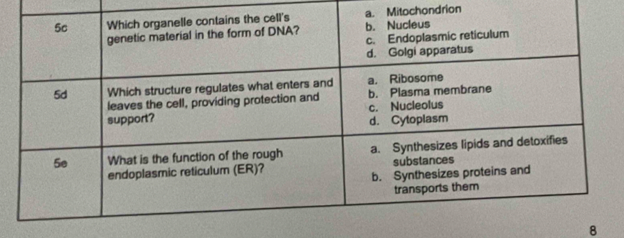 Mitochondrion
8