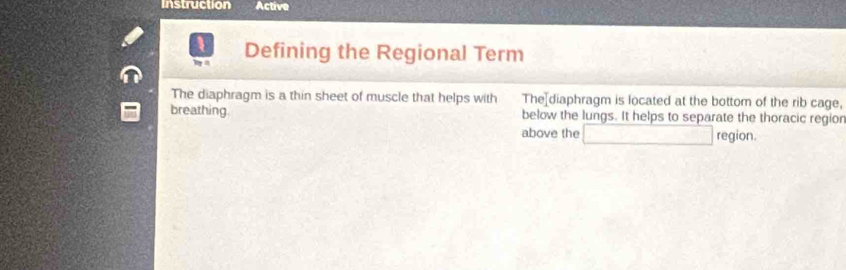 Instruction Active 
,. Defining the Regional Term 
The diaphragm is a thin sheet of muscle that helps with The diaphragm is located at the bottom of the rib cage, 
breathing. below the lungs. It helps to separate the thoracic regior 
above the □ re gion.