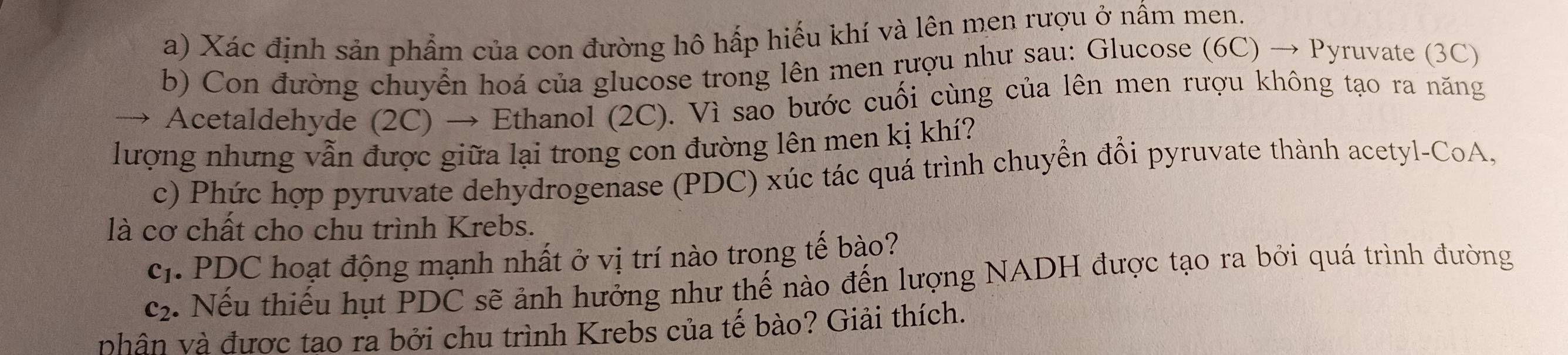 Xác định sản phẩm của con đường hô hấp hiếu khí và lên men rượu ở nấm men. 
b) Con đường chuyển hoá của glucose trong lên men rượu như sau: Glucose (6C) → Pyruvate (3C) 
Acetaldehyde (2C) → Ethanol (2C). Vì sao bước cuối cùng của lên men rượu không tạo ra năng 
lượng nhưng vẫn được giữa lại trong con đường lên men kị khí? 
c) Phức hợp pyruvate dehydrogenase (PDC) xúc tác quá trình chuyền đổi pyruvate thành acetyl-CoA, 
là cơ chất cho chu trình Krebs.
c_1. PDC hoạt động mạnh nhất ở vị trí nào trong tế bào?
c_2. Nếu thiếu hụt PDC sẽ ảnh hưởng như thế nào đến lượng NADH được tạo ra bởi quá trình đường 
vhân và được tạo ra bởi chu trình Krebs của tế bào? Giải thích.