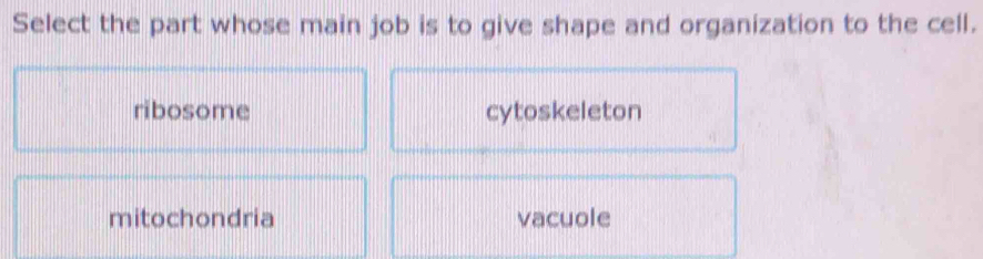 Select the part whose main job is to give shape and organization to the cell.
ribosome cytoskeleton
mitochondria vacuole