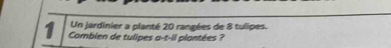 Un jardinier a planté 20 rangées de 8 tulipes. 
1 Combien de tulipes a-t-il plantées ?