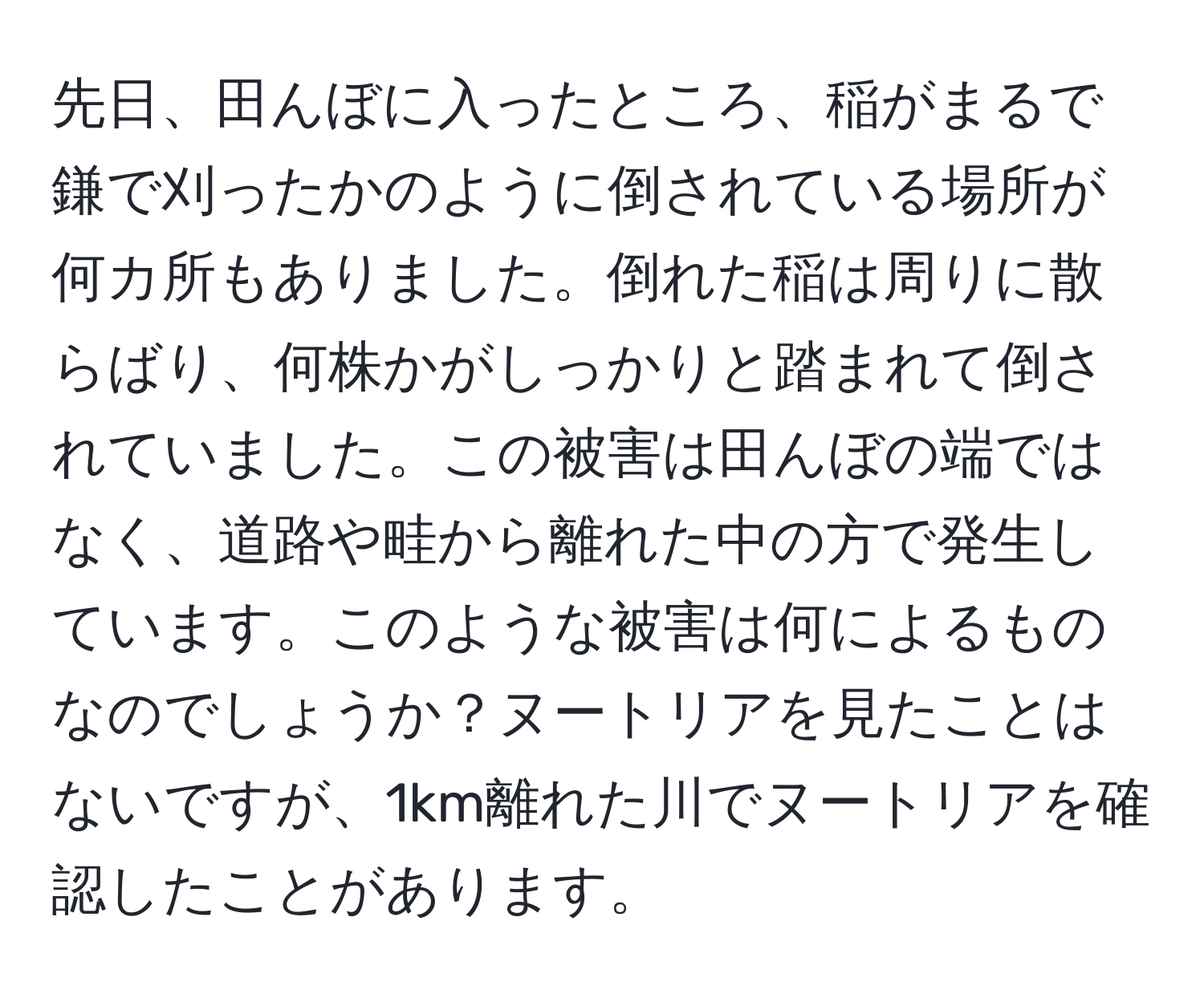 先日、田んぼに入ったところ、稲がまるで鎌で刈ったかのように倒されている場所が何カ所もありました。倒れた稲は周りに散らばり、何株かがしっかりと踏まれて倒されていました。この被害は田んぼの端ではなく、道路や畦から離れた中の方で発生しています。このような被害は何によるものなのでしょうか？ヌートリアを見たことはないですが、1km離れた川でヌートリアを確認したことがあります。