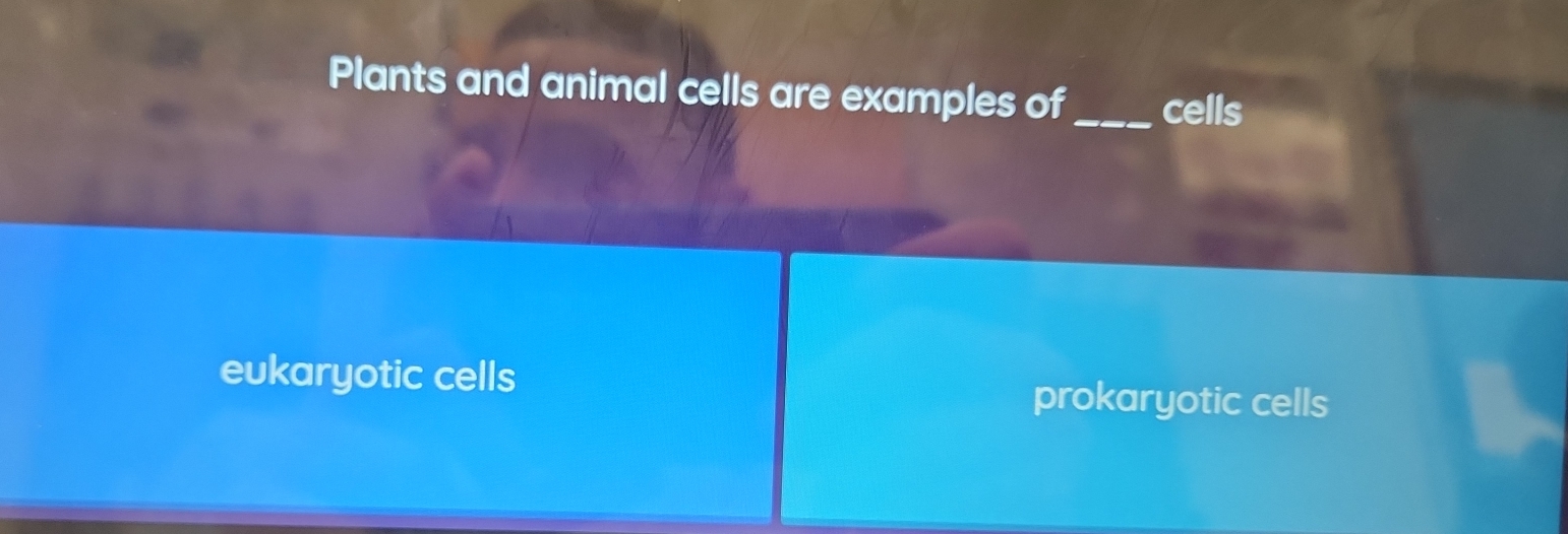 Plants and animal cells are examples of_ cells
eukaryotic cells prokaryotic cells