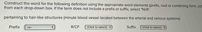 Construct the word for the following definition using the appropriate word elements (prefix, root or combining form, suf 
from each drop-down box. If the term does not include a prefix or suffix, select “N/A”. 
pertaining to hair-like structures (minute blood vessel located between the arterial and venous systems) 
Prefix ca- R/CF (Click to select) ; Suffix (Click to select) $