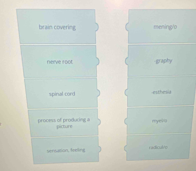 brain covering mening/o
nerve root -graphy
spinal cord -esthesia
process of producing a myel/o
picture
sensation, feeling radicul/o