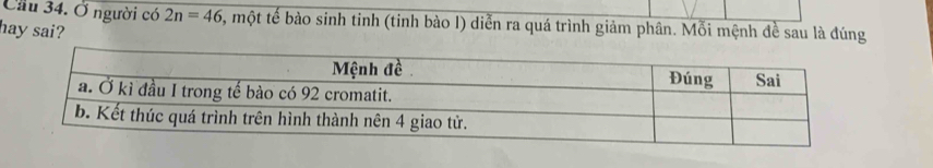 Cầu 34. Ở người có 2n=46 5, một tế bào sinh tinh (tinh bào l) diễn ra quá trình giảm phân. Mỗi mệnh đề sau là đúng 
hay sai?