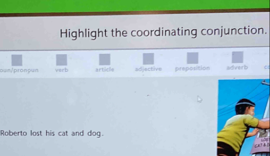 Highlight the coordinating conjunction.
oun/pronoun verb article adjective preposition adverb C
Roberto lost his cat and dog. S
CAT & O