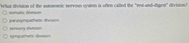 What division of the autonomic nervous system is often called the "rest-and-digest" division?
somatic division
parasympathetic division
sensory division
sympathetic division