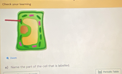 Check your learning 
Q Zoom 
a) Name the part of the cell that is labelled. 
=== Periodic Table