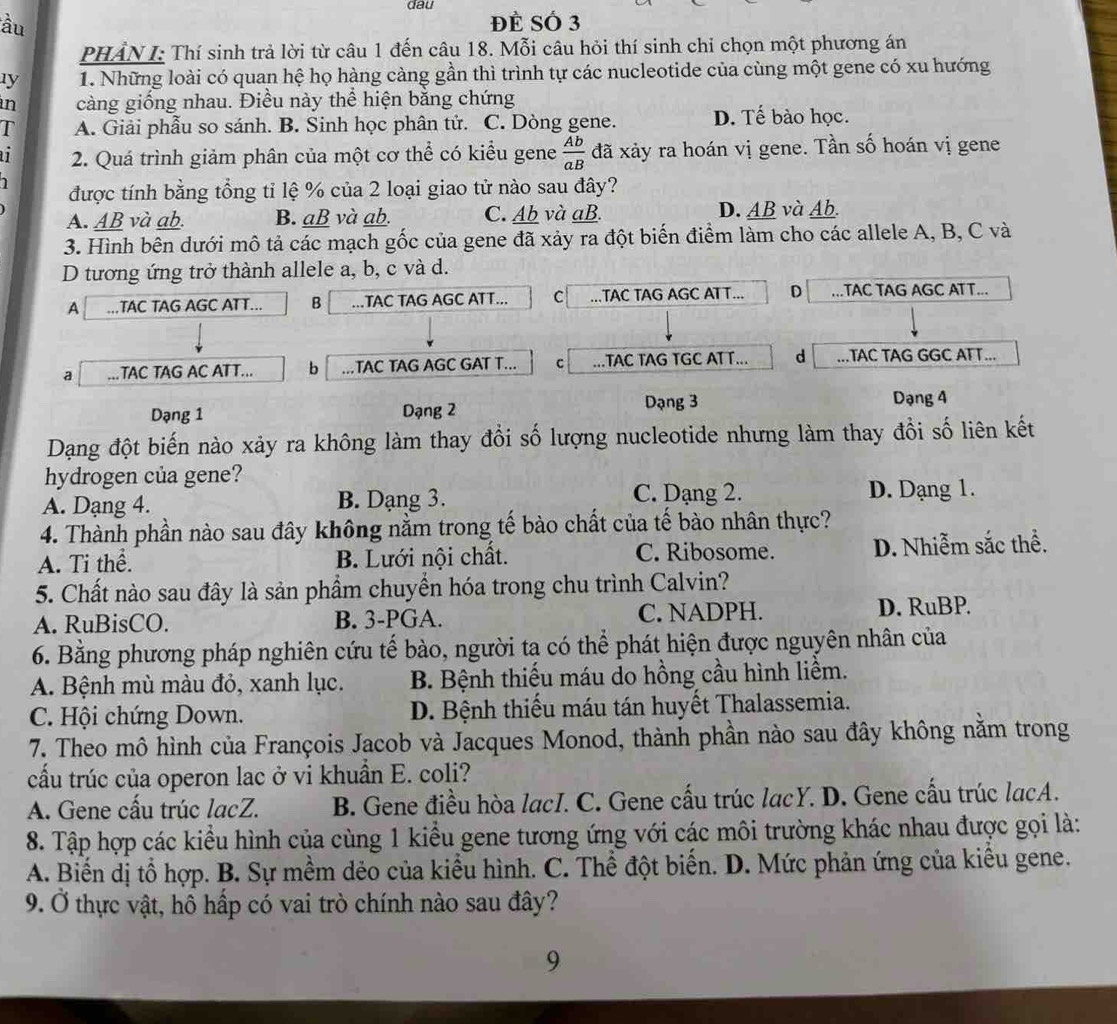 dau
ầu Đề Số 3
PHẢN I: Thí sinh trả lời từ câu 1 đến câu 18. Mỗi câu hỏi thí sinh chỉ chọn một phương án
1y 1. Những loài có quan hệ họ hàng càng gần thì trình tự các nucleotide của cùng một gene có xu hướng
in càng giống nhau. Điều này thể hiện bằng chứng
T A. Giải phẫu so sánh. B. Sinh học phân tử. C. Dòng gene. D. Tế bào học.
2. Quá trình giảm phân của một cơ thể có kiểu gene  Ab/aB  đã xảy ra hoán vị gene. Tần số hoán vị gene
1 được tính bằng tổng tỉ lệ % của 2 loại giao tử nào sau đây?
A. AB và ab. B. aB và ab. C. Ab và aB. D. AB và Ab.
3. Hình bên dưới mô tả các mạch gốc của gene đã xảy ra đột biến điểm làm cho các allele A, B, C và
D tương ứng trở thành allele a, b, c và d.
A .. TAC TAG AGC ATT... B ... .TAC TAG AGC ATT... C ...TAC TAG AGC AT T... D ...TAC TAG AGC ATT...
a ...TAC TAG AC ATT... b ..TAC TAG AGC GAT T... C ...TAC TAG TGC ATT... d ...TAC TAG GGC ATT...
Dạng 1 Dạng 2 Dạng 3
Dạng 4
Dạng đột biến nào xảy ra không làm thay đổi số lượng nucleotide nhưng làm thay đổi số liên kết
hydrogen của gene?
C. Dạng 2.
A. Dạng 4. B. Dạng 3. D. Dạng 1.
4. Thành phần nào sau đây không nằm trong tế bào chất của tế bào nhân thực?
A. Ti thể. B. Lưới nội chất. C. Ribosome. D. Nhiễm sắc thể.
5. Chất nào sau đây là sản phầm chuyển hóa trong chu trình Calvin?
A. RuBisCO. B. 3-PGA. C. NADPH. D. RuBP.
6. Bằng phương pháp nghiên cứu tế bào, người ta có thể phát hiện được nguyên nhân của
A. Bệnh mù màu đỏ, xanh lục. B. Bệnh thiếu máu do hồng cầu hình liềm.
C. Hội chứng Down. D. Bệnh thiếu máu tán huyết Thalassemia.
7. Theo mô hình của François Jacob và Jacques Monod, thành phần nào sau đây không nằm trong
cấu trúc của operon lac ở vi khuần E. coli?
A. Gene cấu trúc lacZ. B. Gene điều hòa lacI. C. Gene cấu trúc lacY. D. Gene cầu trúc lạcA.
8. Tập hợp các kiểu hình của cùng 1 kiểu gene tương ứng với các môi trường khác nhau được gọi là:
A. Biến dị tổ hợp. B. Sự mềm dẻo của kiểu hình. C. Thể đột biến. D. Mức phản ứng của kiểu gene.
9. Ở thực vật, hô hấp có vai trò chính nào sau đây?
9