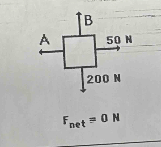 F_net=0N