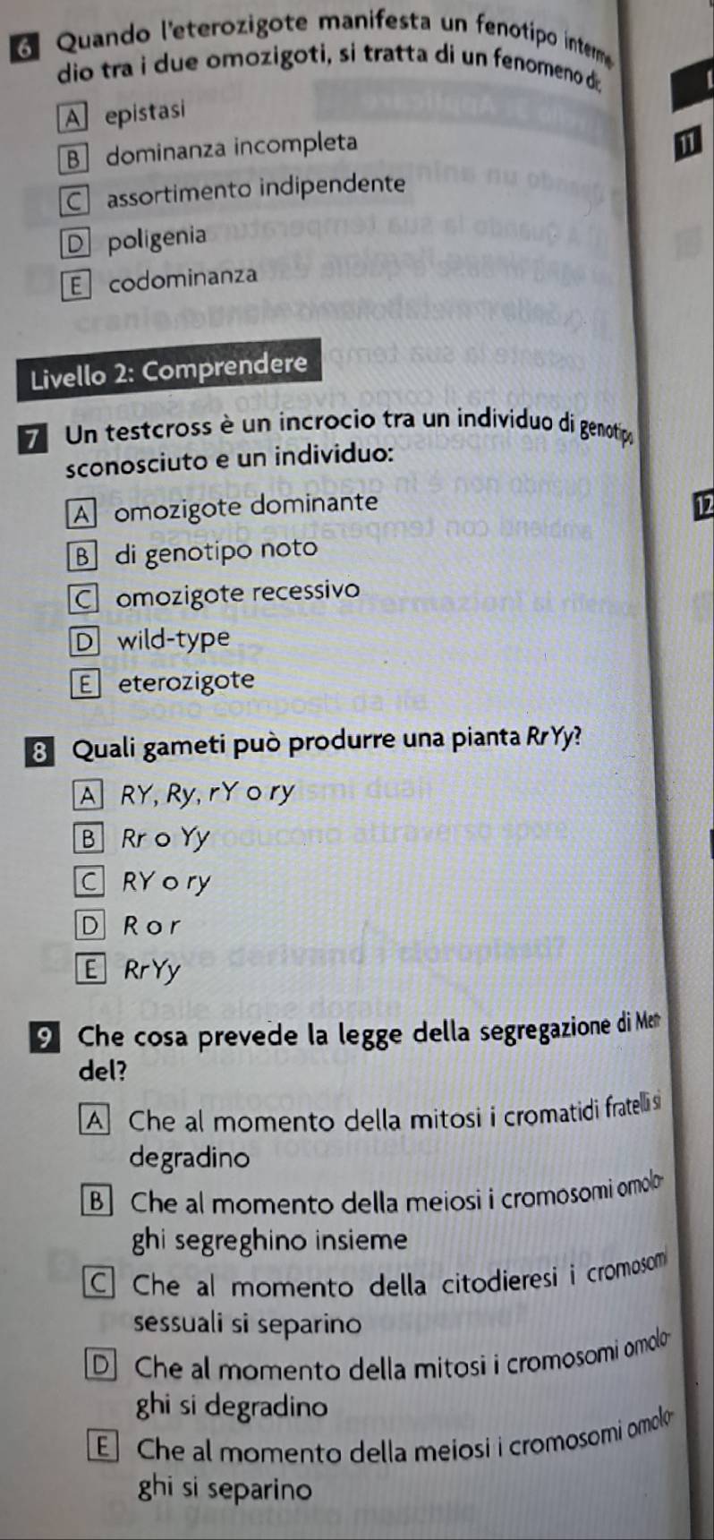 Quando l'eterozigote manifesta un fenotipo interm
dio tra i due omozigoti, si tratta di un fenomeno d
A epistasi
B dominanza incompleta
C assortimento indipendente
D poligenia
E codominanza
Livello 2: Comprendere
Un testcross è un incrocio tra un indíviduo di genotipo
sconosciuto e un individuo:
A omozigote dominante 12
B di genotipo noto
C omozigote recessivo
D wild-type
E eterozigote
Quali gameti può produrre una pianta RrYy?
A RY, Ry, rY o ry
B Rr o Yy
C RY ory
D Ror
E Rr Yy
Che cosa prevede la legge della segregazione di Me
del?
A] Che al momento della mitosi i cromatidi fratelli si
degradino
B] Che al momento della meiosi i cromosomi omolo
ghi segreghino insieme
Che al momento della citodieresi i cromosom
sessuali si separino
D Che al momento della mitosi i cromosomi omolo
ghi si degradino
E Che al momento della meiosi i cromosomi omolo 
ghi si separino