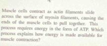 Muscle cells contract as actin filaments slide 
across the surface of myosin filaments, causing the 
ends of the muscle cells to pull together. This 
process requires energy in the form of ATP. Which 
process explains how energy is made available for 
muscle contraction?