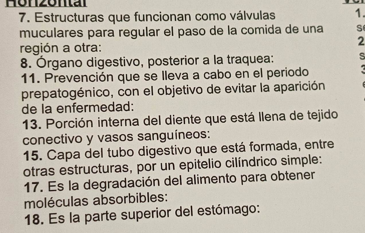 Honzontal 
7. Estructuras que funcionan como válvulas 
1. 
muculares para regular el paso de la comida de una S 
2 
región a otra: 
8. Órgano digestivo, posterior a la traquea: 
s 
11. Prevención que se lleva a cabo en el periodo 
prepatogénico, con el objetivo de evitar la aparición 
de la enfermedad: 
13. Porción interna del diente que está llena de tejido 
conectivo y vasos sanguíneos: 
15. Capa del tubo digestivo que está formada, entre 
otras estructuras, por un epitelio cilíndrico simple: 
17. Es la degradación del alimento para obtener 
moléculas absorbibles: 
18. Es la parte superior del estómago: