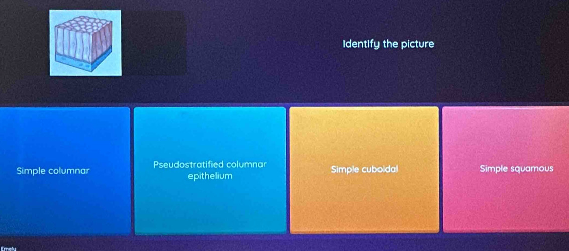 Identify the picture
Pseudostratified columnar
Simple columnar Simple cuboidal Simple squamous
epithelium
Emelu