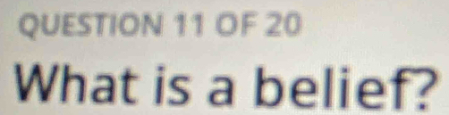 OF 20 
What is a belief?