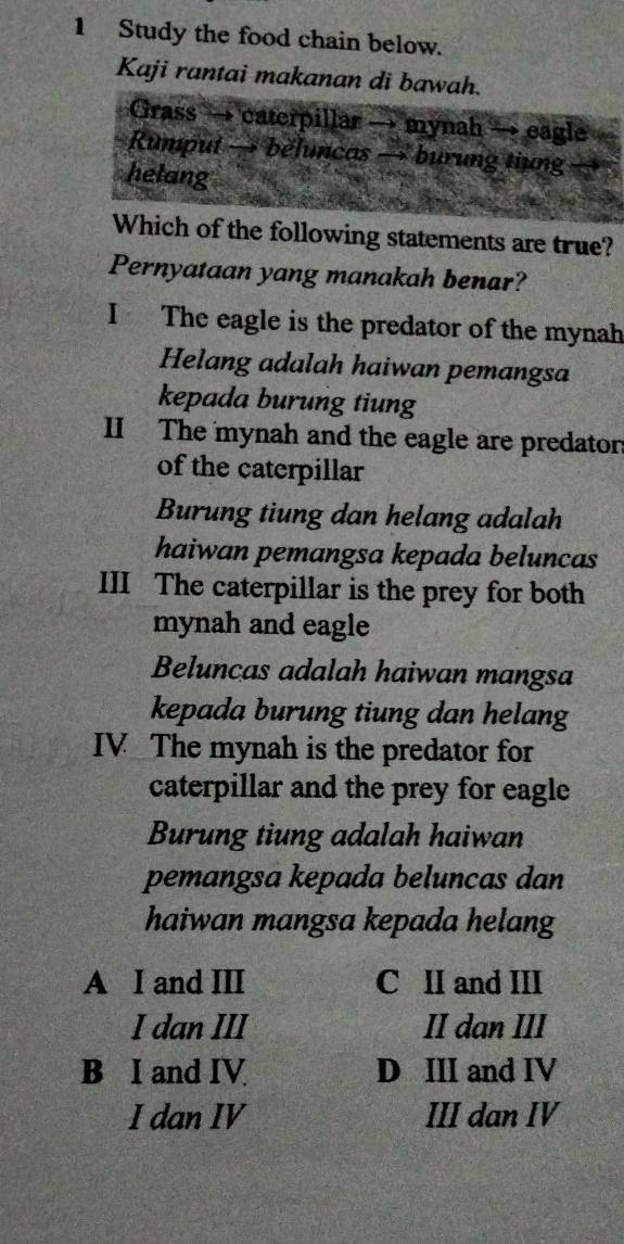 Study the food chain below.
Kaji rantai makanan di bawah.
Grass → caterpillar → mynah → eagle
Rumput → beluncas → burung tiung
helang
Which of the following statements are true?
Pernyataan yang manakah benar?
I The eagle is the predator of the mynah
Helang adalah haiwan pemangsa
kepada burung tiung
II The mynah and the eagle are predator
of the caterpillar
Burung tiung dan helang adalah
haiwan pemangsa kepada beluncas
III The caterpillar is the prey for both
mynah and eagle
Beluncas adalah haiwan mangsa
kepada burung tiung dan helang
IV The mynah is the predator for
caterpillar and the prey for eagle
Burung tiung adalah haiwan
pemangsa kepada beluncas dan
haiwan mangsa kepada helang
A I and III C II and III
I dan III II dan III
B I and IV D III and IV
I dan IV III dan IV