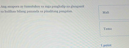 Ang anapora ay tumutukoy sa mga panghalip na ginagamit 
sa hulihan bilang pananda sa pinalitang pangalan. Mali 
Tama 
1 point