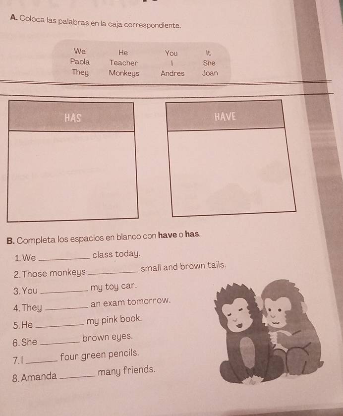 Coloca las palabras en la caja correspondiente. 
We He You It 
Paola Teacher 1 She 
They Monkeys Andres Joan 
HAVE 
B. Completa los espacios en blanco con have o has. 
1. We_ class today. 
2. Those monkeys _small and brown tails. 
3. You _my toy car. 
4. They _an exam tomorrow. 
5. He _my pink book. 
6. She _brown eyes. 
7.1 _four green pencils. 
8. Amanda _many friends.