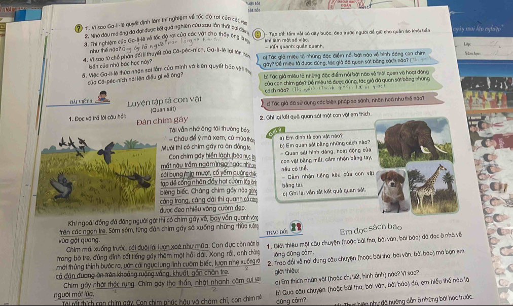 "uật tối
          
sật tốt
② 1. Vì sao Ga-li-lê quyết định làm thí nghiệm về tốc độ rơi của các vận
2. Nhà đầu mà ông đã đạt được kết quả nghiên cứu sau lần thất bại đầy 11
3. Thi nghiệm của Ga-li-lê về tốc độ rai của các vật cho thấy ông là nạ A # - Tạp để: tấm vải có dây buộc, đeo trước người để giữ cho quần áo khỏi bần ngày mai lập nghiệp'
khi làm một số việc.
như thế nào? ō
- Vần quanh: quần quanh.
4. Vì sao từ chỗ phản đổi lì thuyết của Cô-péc-ních, Ga-li-lê lại tán thán a) Tác giả miêu tả những đặc điểm nổi bật nào về hình dáng con chim Lập:_
Năm học:
kiến của nhà bác học này?
5. Việc Ga-ll-lệ thừa nhận sai lầm của minh và kiện quyết bảo vệ lí thuy gầy? Để miêu tả được đúng, tác giả đã quan sát bằng cách nào? (T
Của Cô-péc-ních nói lên điều gì về ông?
b) Tác giả miêu tả những đặc điểm nổi bật nào về thôi quen và hoạt động
của con chim gáy? Để miêu tả được đùng, tác giả đã quan sát bằng những
cách nào?
bài Viết 3 Luyện tập tả con vật
c) Tác giả đã sử dụng các biện pháp so sánh, nhân hoá như thế nào?
1. Đọc và trả lời câu hỏi: (Quan sát)
Đàn chim gáy 2. Ghi lại kết quả quan sát một con vật em thích.
Tôi vẫn nhớ ông tôi thường bảo: qiy
- Cháu để ý mà xem, cứ mùa tháng
a) Em định tả con vật nào?
Mười thì có chim gáy ra ăn đồng to b) Em quan sát bằng những cách nào?
Con chim gáy hiển lành,(béo nục Đi - Quan sát hình dáng, hoạt động của
mất nâu trầm ngām ngo ngác nhìn x  con vật bằng mắt; cảm nhận bằng tay,
ái bụng min mượt, cổ yếm quảng chiếc nếu có thể,
ạp dề cống nhân đầy hạt cườm lấp lớnh - Cảm nhận tiếng kêu của con vật
iêng biếc, Chàng chim gáy nào giọng bàng tai.
àng trong, càng dài thì quanh cổ cảng c) Ghi lại vần tất kết quả quan sát.
được đeo nhiều vòng cườm đẹp.
Khi ngoài đồng đã đông người gặt thì có chim gáy về, bay vẩn quanh vòng
trên các ngọn tre. Sớm sớm, từng đân chim gáy sà xuống những thửa ruộng 12
trao đối Em đọc sách báo
vùa gặt quang.
Chim mái xuống trước, cái đuôi lái lượn xoè như múa. Con đực còn nán lại
trong bờ tre, đủng đỉnh cất tiếng gáy thêm một hồi dài. Xong rồi, anh chàng  1. Giới thiệu một câu chuyện (hoặc bài thơ, bài văn, bài báo) đã đọc ở nhà về
mới thủng thỉnh bước ra, uỡn cái ngục lung linh cườm biếc, lượn nhẹ xuống vă lòng dũng cảm.
cả đàn đương ăn trên khoảng ruộng váng, khuất, gần chân tre.  2. Trao đổi về nội dung câu chuyện (hoặc bài thơ, bài văn, bài báo) mà bạn em
giới thiệu:
Chim gáy nhật thóc rụng. Chim gáy tha thần, nhật nhạnh cặm cụi sau a) Em thích nhân vật (hoặc chi tiết, hình ảnh) nào? Vì sao?
2
người mót lúa,
b) Qua câu chuyện (hoặc bài thơ, bài văn, bài báo) đó, em hiểu thế nào là
Tối rất thích con chim gáy. Con chim phúc hậu và chăm chỉ, con chim mô dũng cảm?  ur hiện nhy đã hướng dẫn ở những bài học trước.