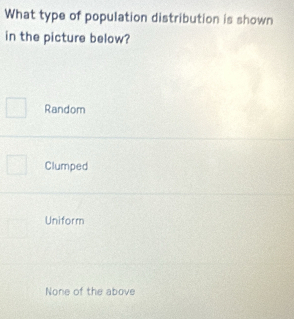 What type of population distribution is shown
in the picture below?
Random
Clumped
Uniform
None of the above