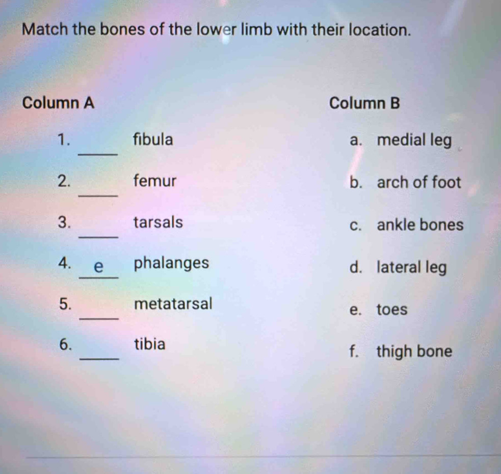Solved: Match the bones of the lower limb with their location. Column A ...