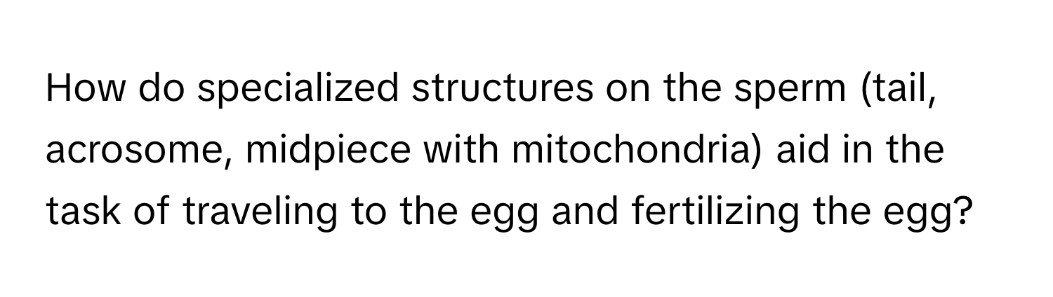 How do specialized structures on the sperm (tail, acrosome, midpiece with mitochondria) aid in the task of traveling to the egg and fertilizing the egg?